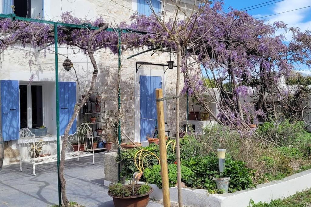 מונטה Location Appartement Dans Mas Provencal מראה חיצוני תמונה